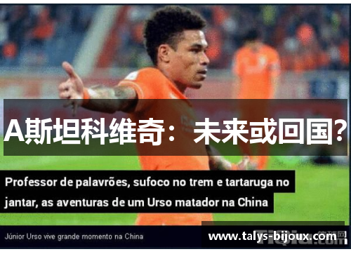 A斯坦科维奇：未来或回国？